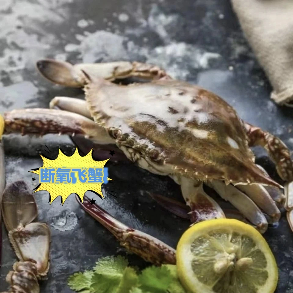 飞蟹（特价睡着飞蟹）蟹同城配送
