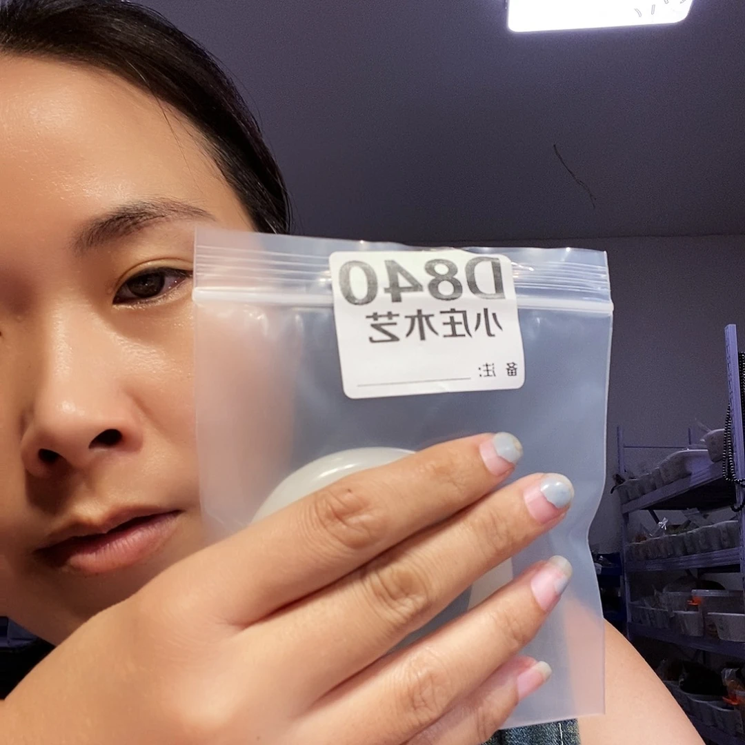【闪购商品】悦*麟黑檀木，风车木840