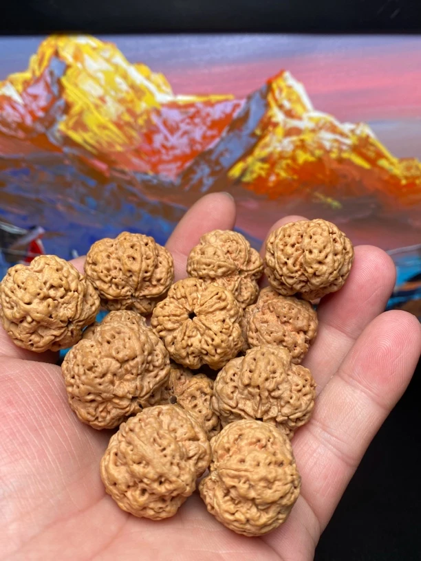 定制截图金刚菩提