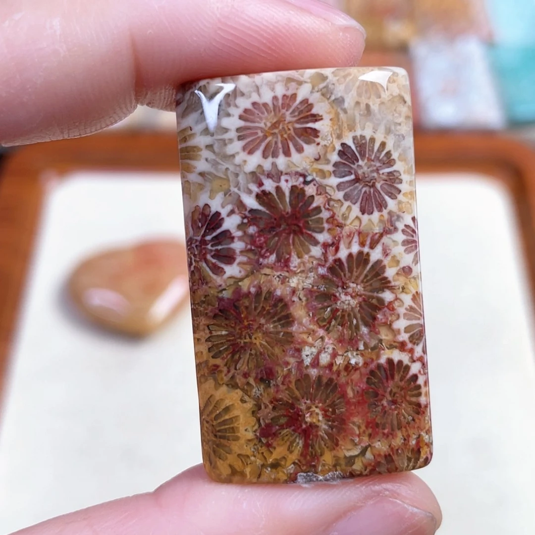 【闪购商品】硅化玉手串未镶嵌