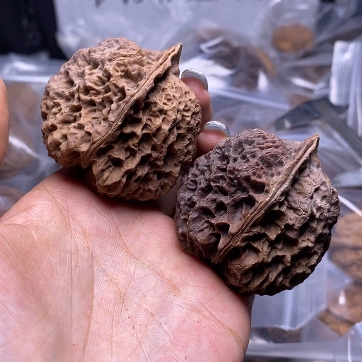 核桃云南野生铁核桃55号47mm