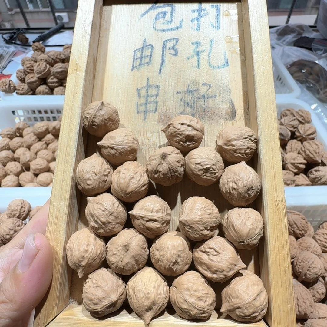 核桃手串/手链16号全打孔