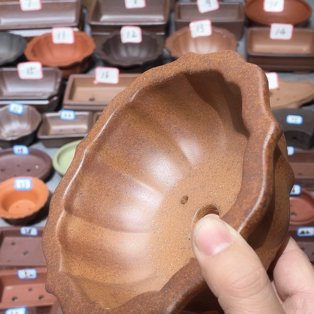 紫砂紫砂小盆13*5