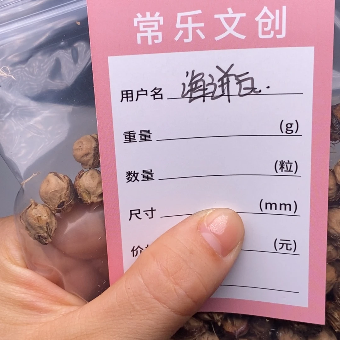 海***瓶吊坠柏香籽/百香籽