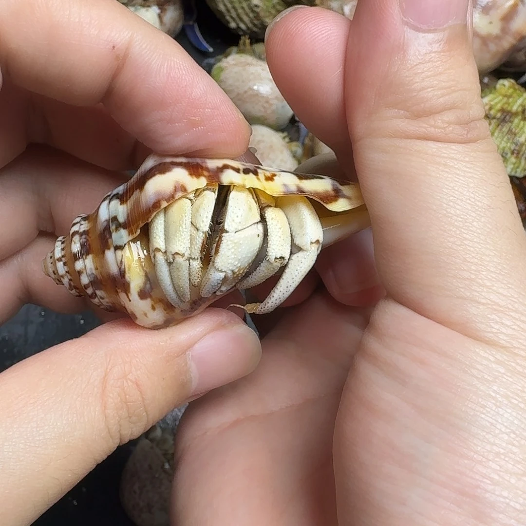 海水逍*啦啦啦啦啦