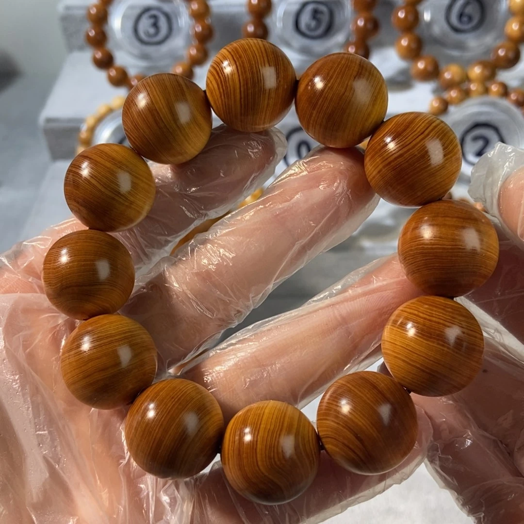 柏木（崖柏）雨*风太行崖柏