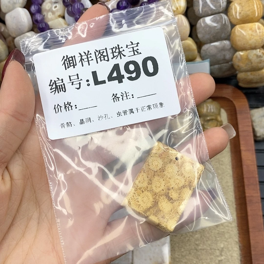 硅化珊瑚（珊瑚玉）L未镶嵌L***理