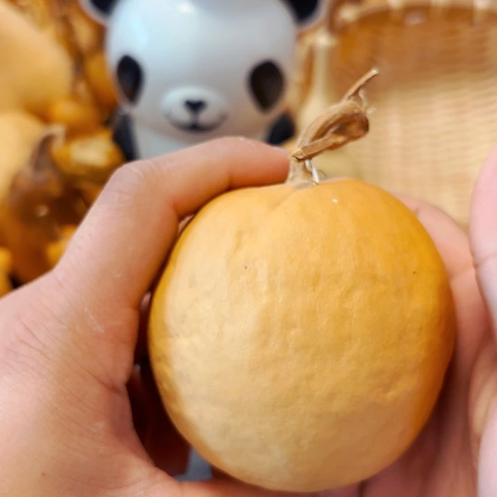 琴****室8888888888888888888