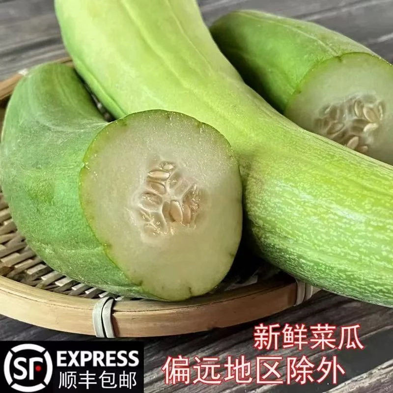 安徽无为特产新鲜蔬菜菜瓜烧瓜捎瓜非甜瓜可生吃可凉拌现摘现发