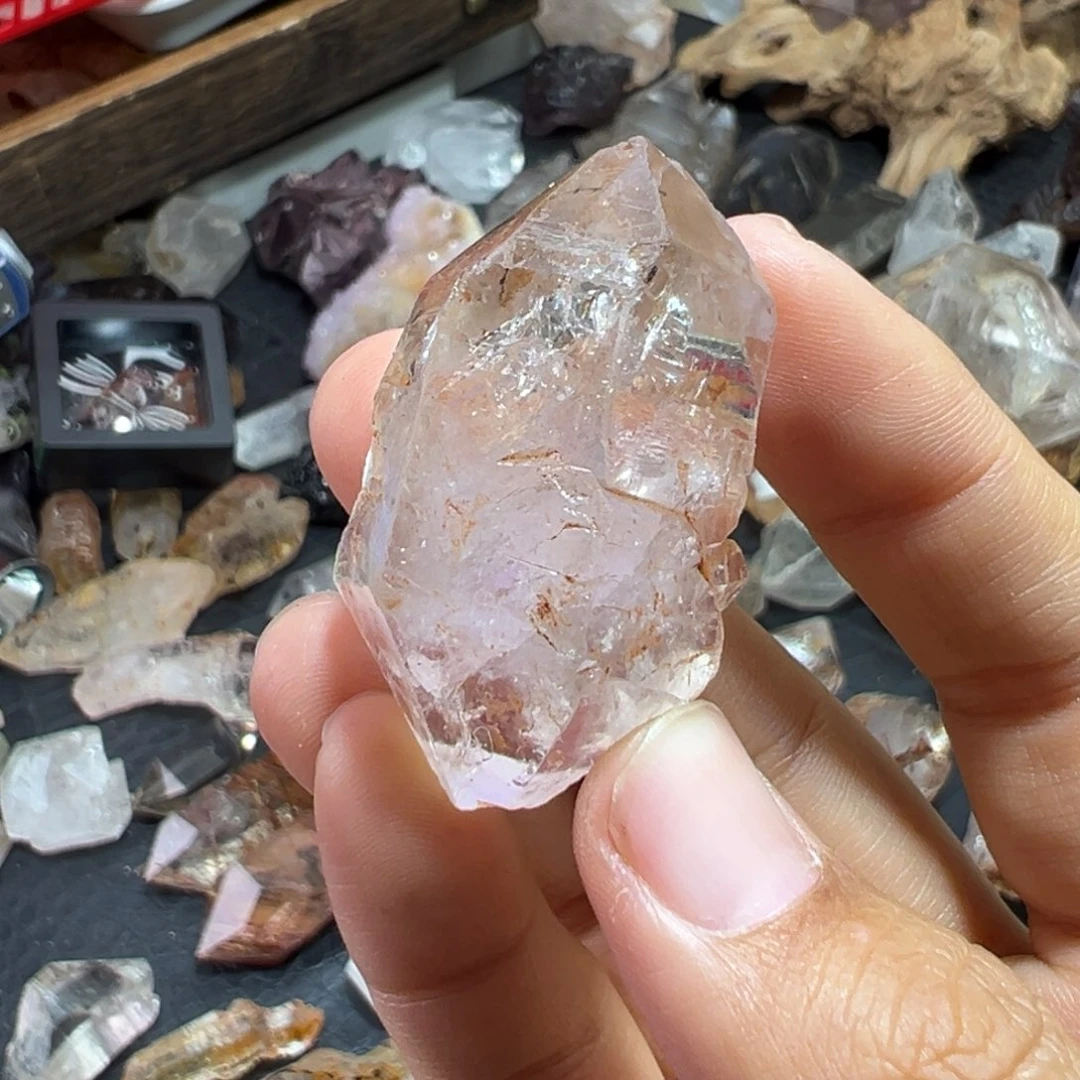 石材薰衣草水胆骸骨