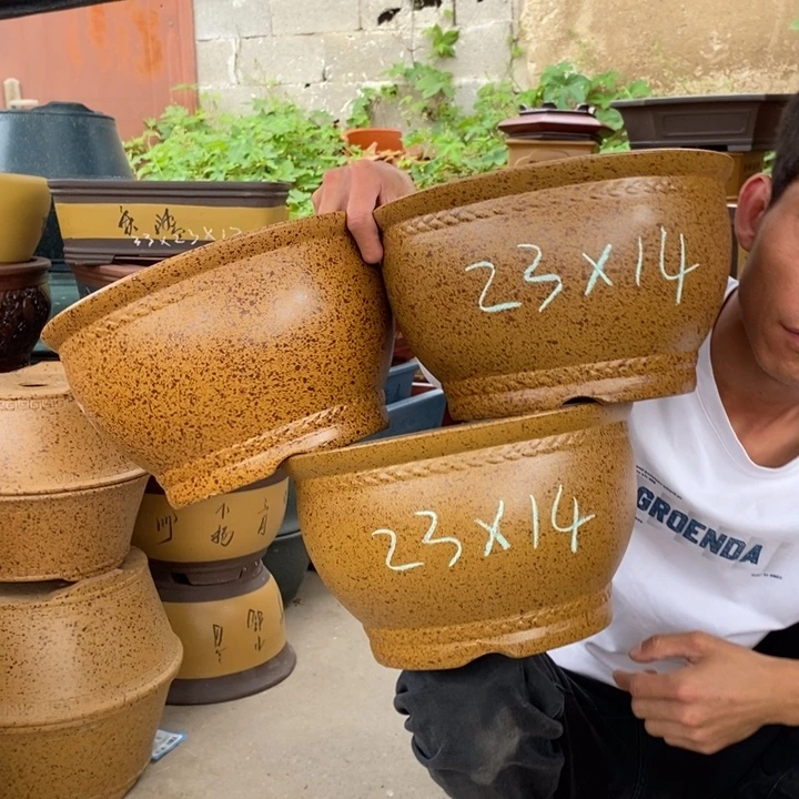 紫砂花盆你们也可以看到这个综艺