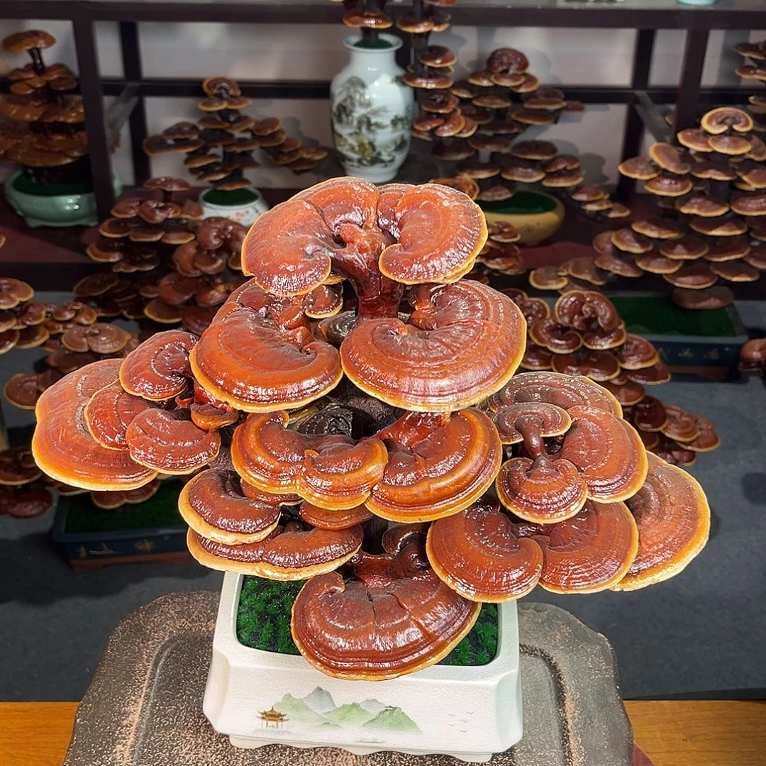 无花朵万事如意88888888888888