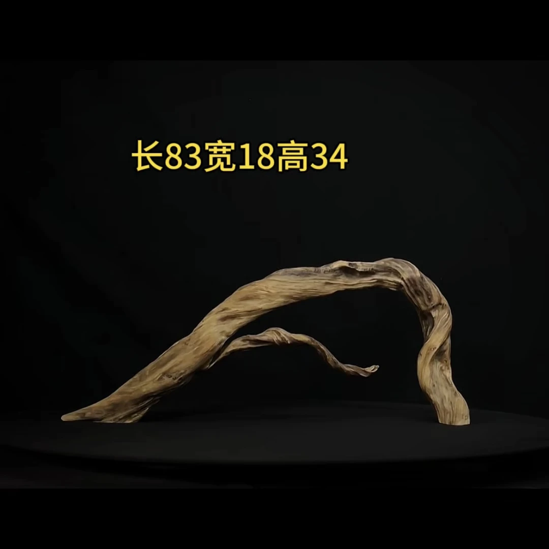 张大狼造景沉木长83cm扭曲螺旋拱桥飘枝 南美鱼缸造景 鬼柳木秒沉