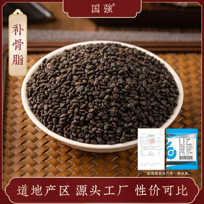 国强补骨脂 独立包装小袋装