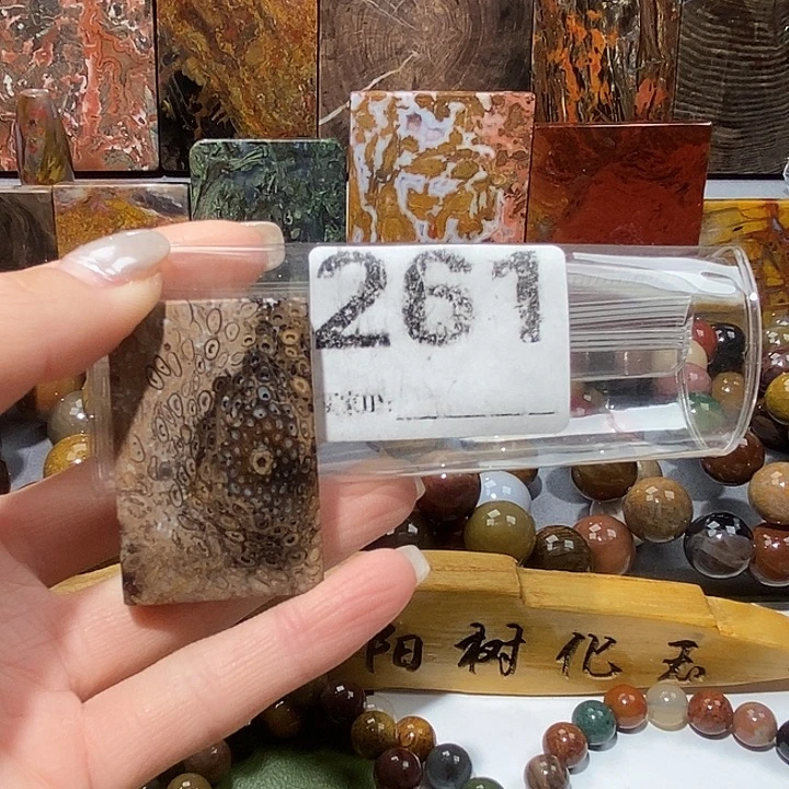 硅化玉未镶嵌天然北票树化玉吊坠