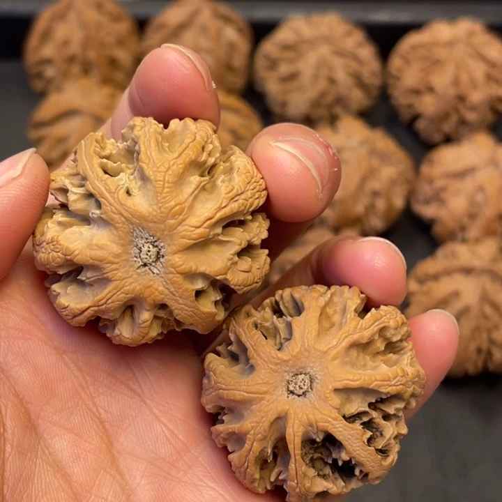 吊坠文玩核桃突突与突突突突突