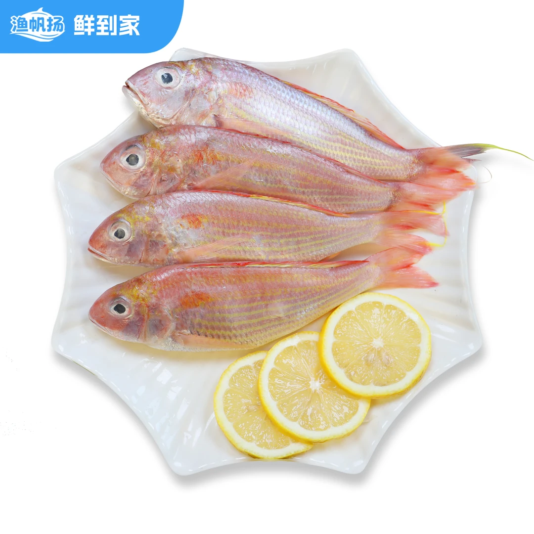 北部湾 红衫鱼3斤(4-6条/斤) 码头代采 源头直发