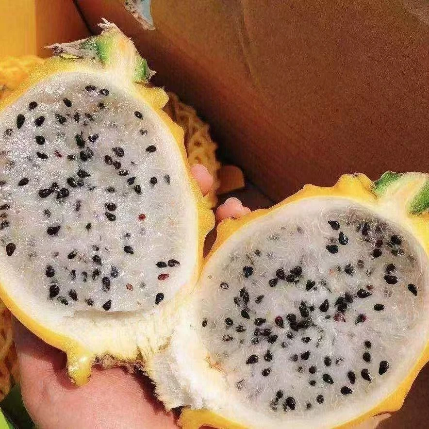 燕窝果火龙果礼盒