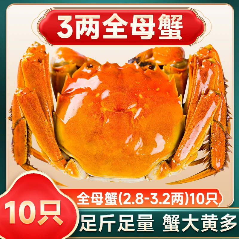 【活蟹】江苏兴化精品大闸蟹全母3两10只礼品装顺丰JD冷链包邮