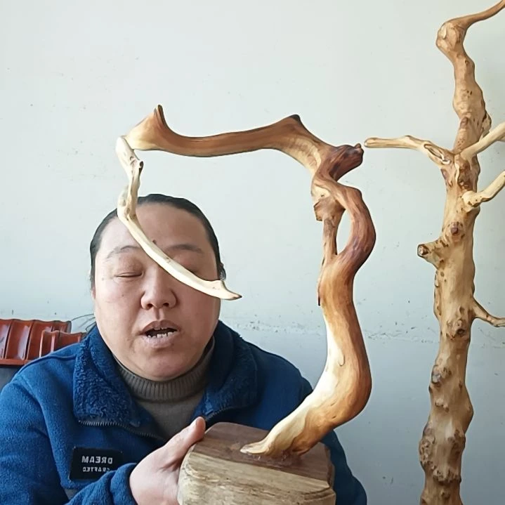 你***害太行崖柏成品摆件