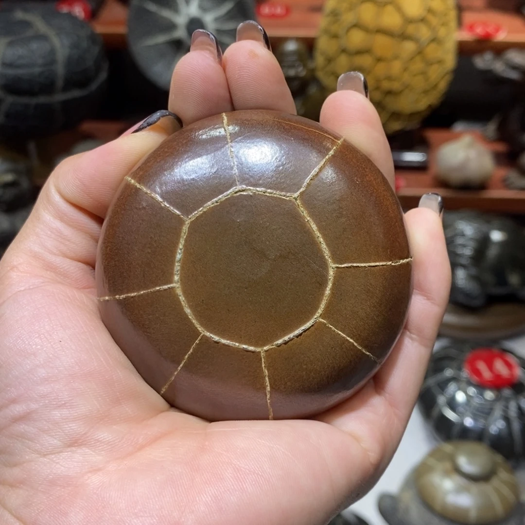 慕***枫龟纹石原产地直播