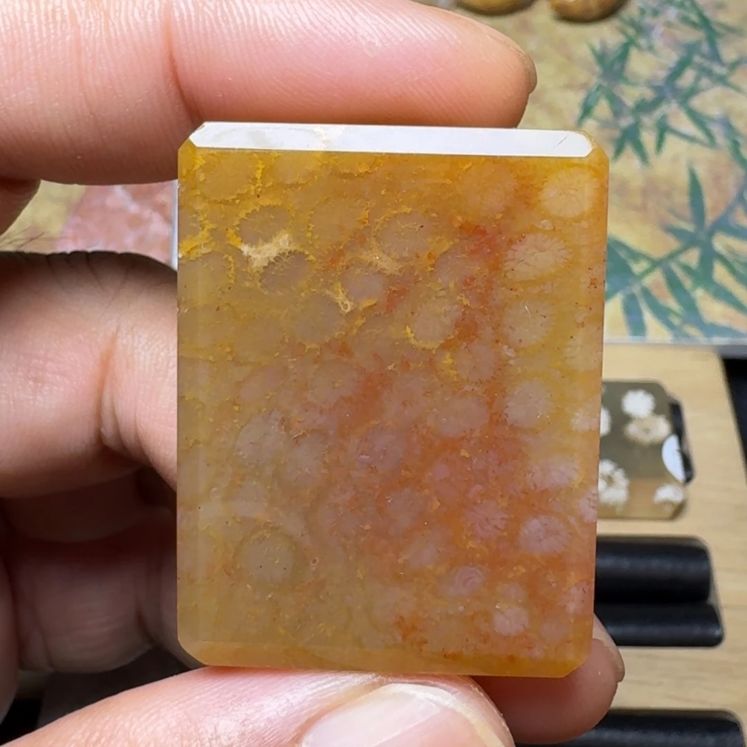 硅化玉纯天然色有机玉石保真色未镶嵌