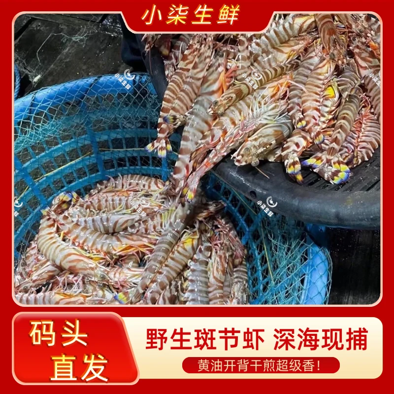 WW【双十一抢鲜尝】本港码头深海现捕野生斑节虾花虾8-10条/盒 大虾海鲜九节虾