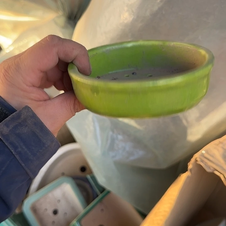 我想说我们也没见他说你没来就