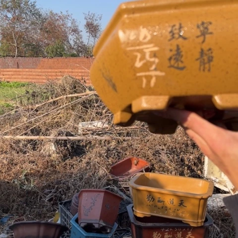 紫砂花盆特价包邮送