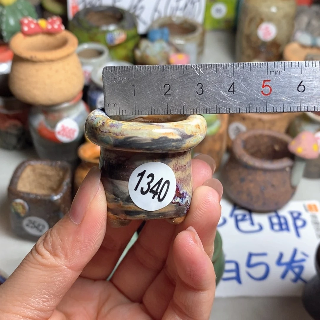 拍5送一个小礼物