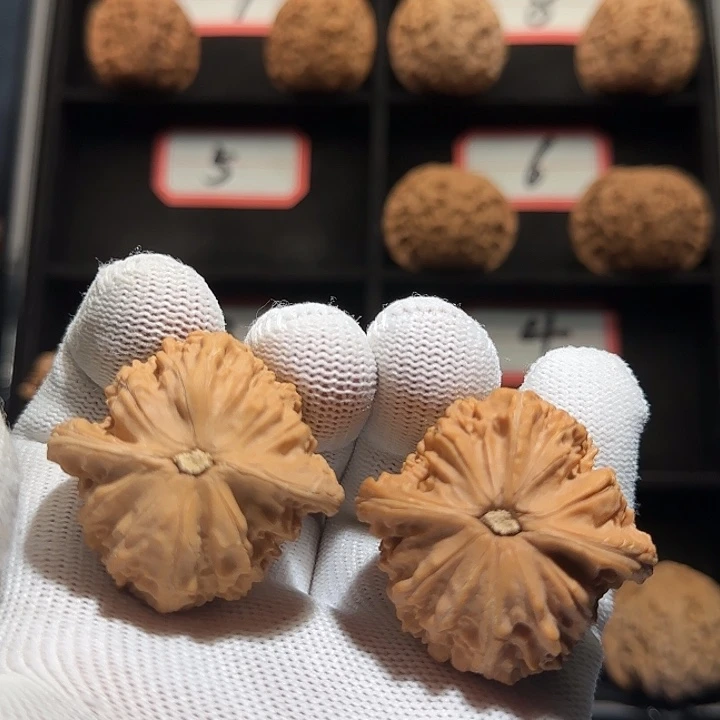 丶***丶桃核吊坠06秦皇岛山地果全品