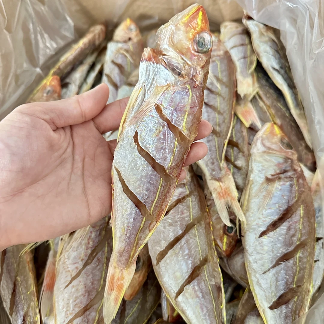 新晒金丝鱼金线鱼干  广东博贺港海鲜干货  500g