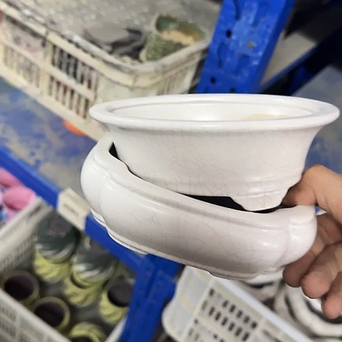 ···2个处理······