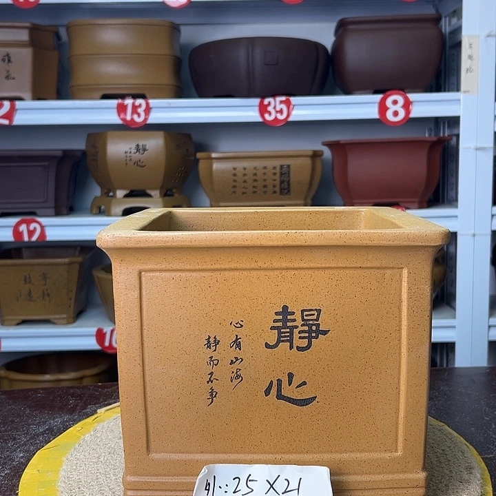 紫砂花盆你在一起