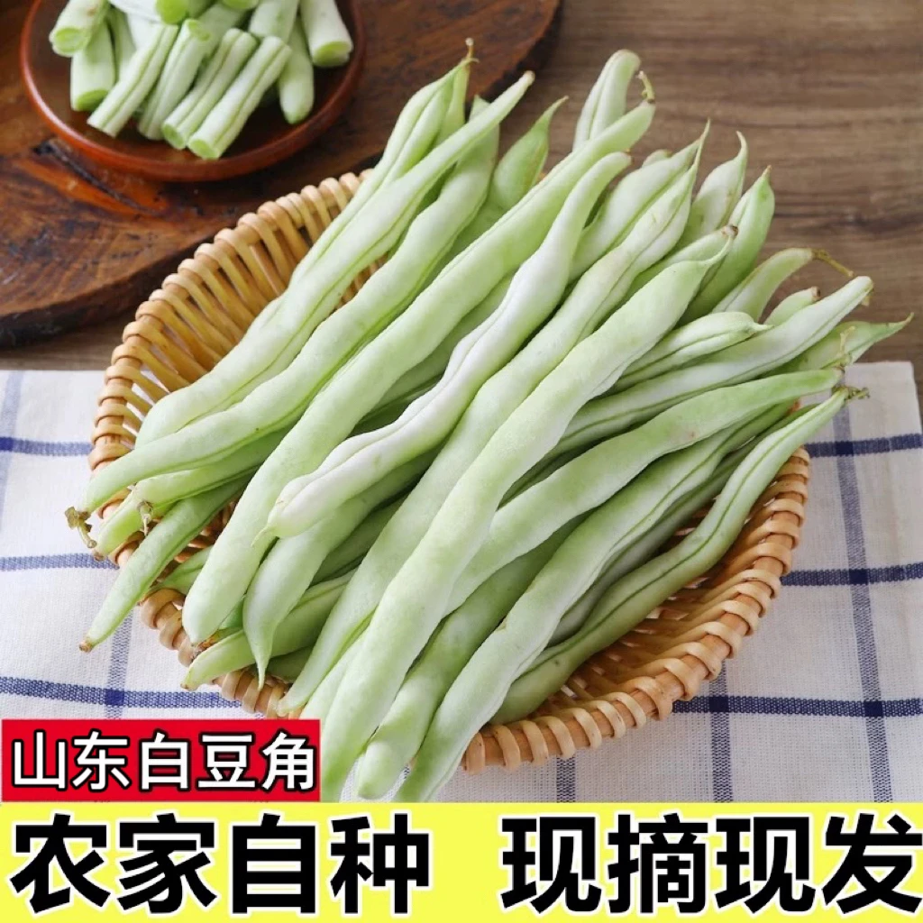 山东白芸豆角新鲜四季豆扁豆5斤白豆老来少白豆角现摘