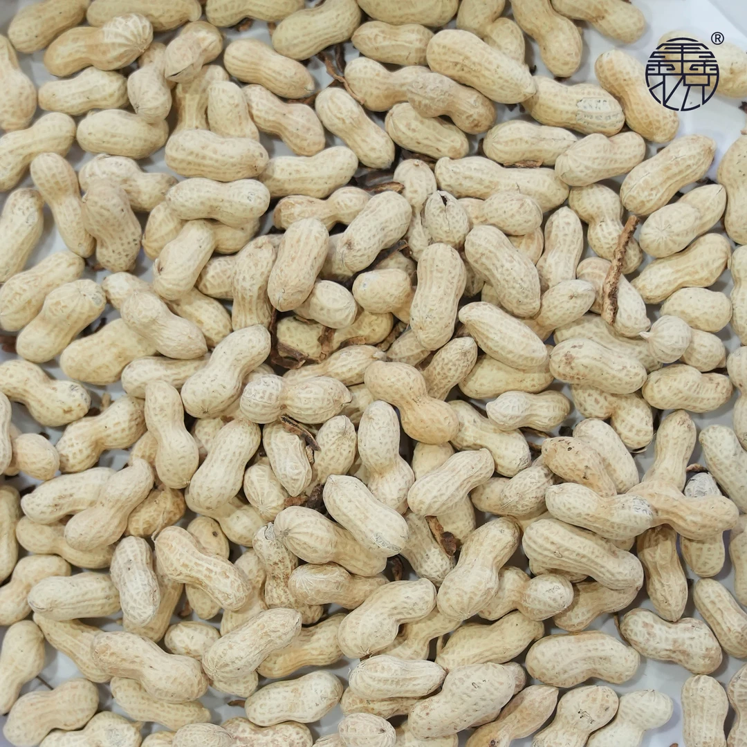 【新会特产】陈皮花生 陈皮味的花生