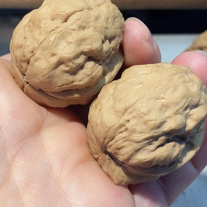 文玩核桃把件76666）huuuuuh