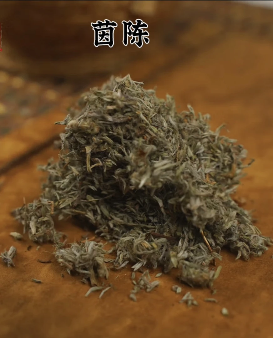 H 粉丝福利精选天然茵陈绵陈绵茵陈茶 100 克