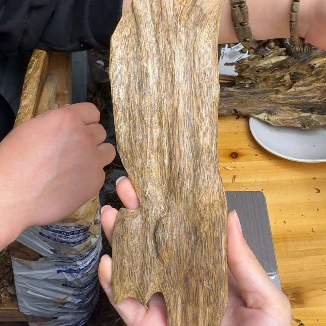 沉香沉香碎屑白棋品种块料77克