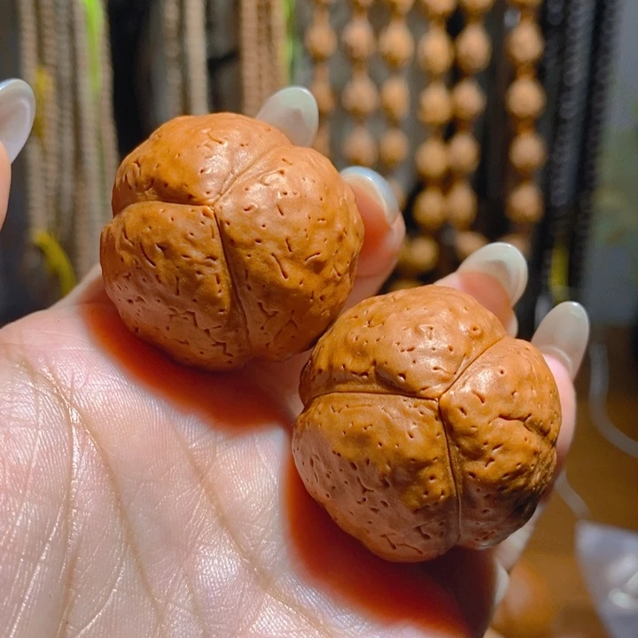 野生三瓣大金刚光头强3340