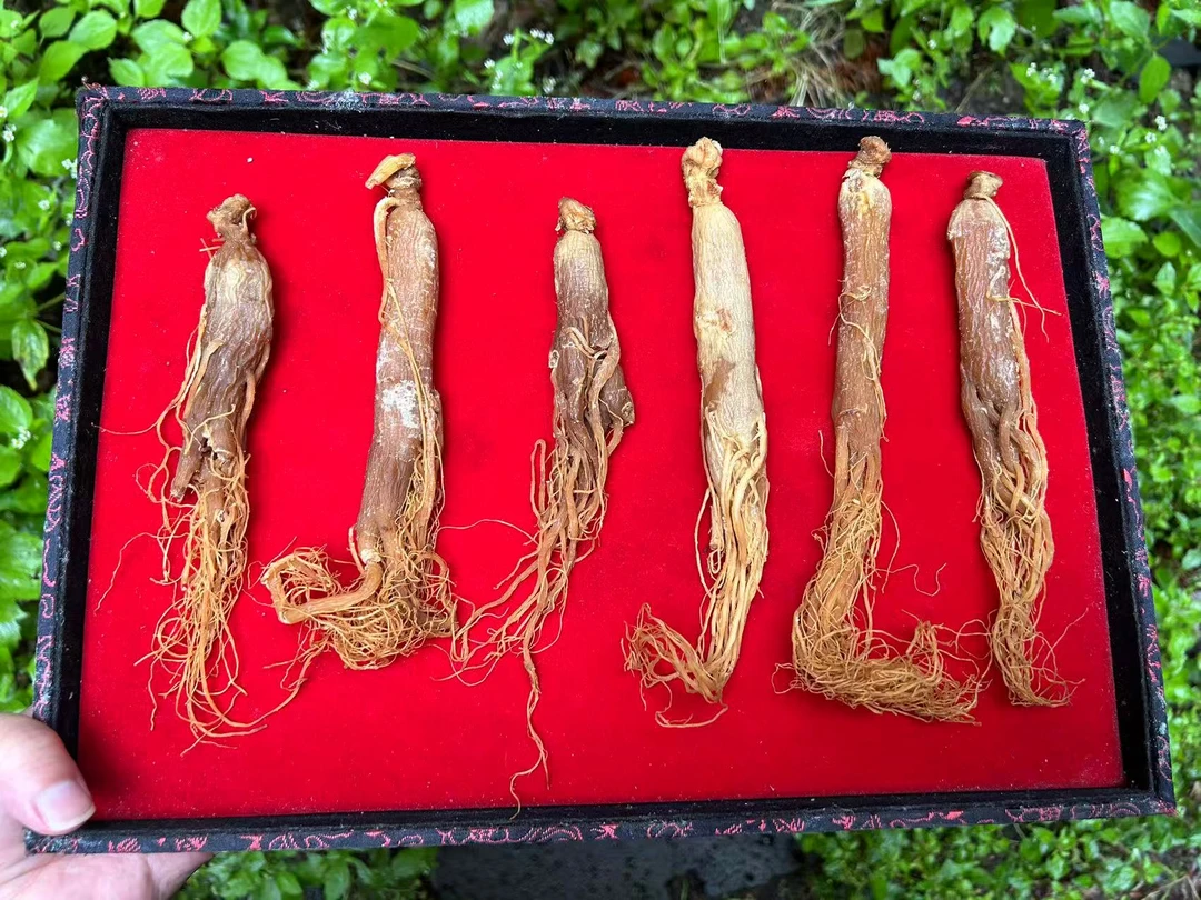 【百-姩-葒-傪】净含量-100g-1000g【阿婷现收】非菇类