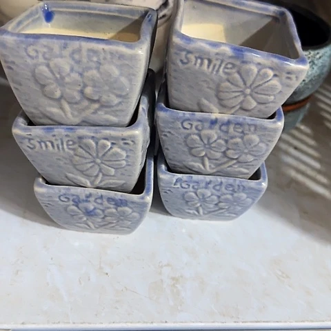 6个····全是福利····