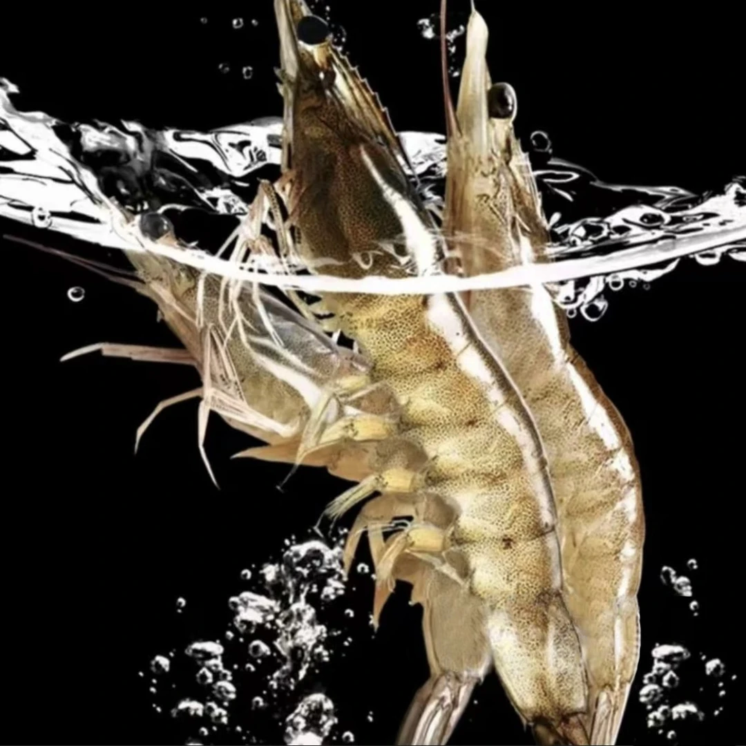 活虾盐水虾约250克（到手包鲜不包活）