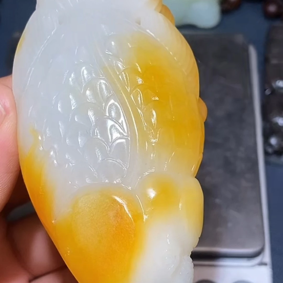 鱼9.17HX多样性拍一发一