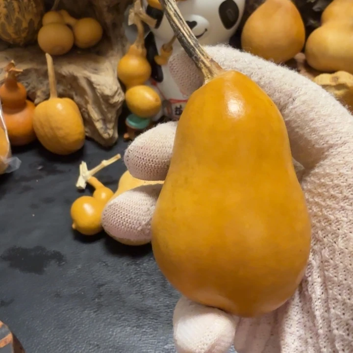 永***红6………………………………………………