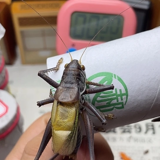 哈哈哈哈哈哈哈哈哈哈哈