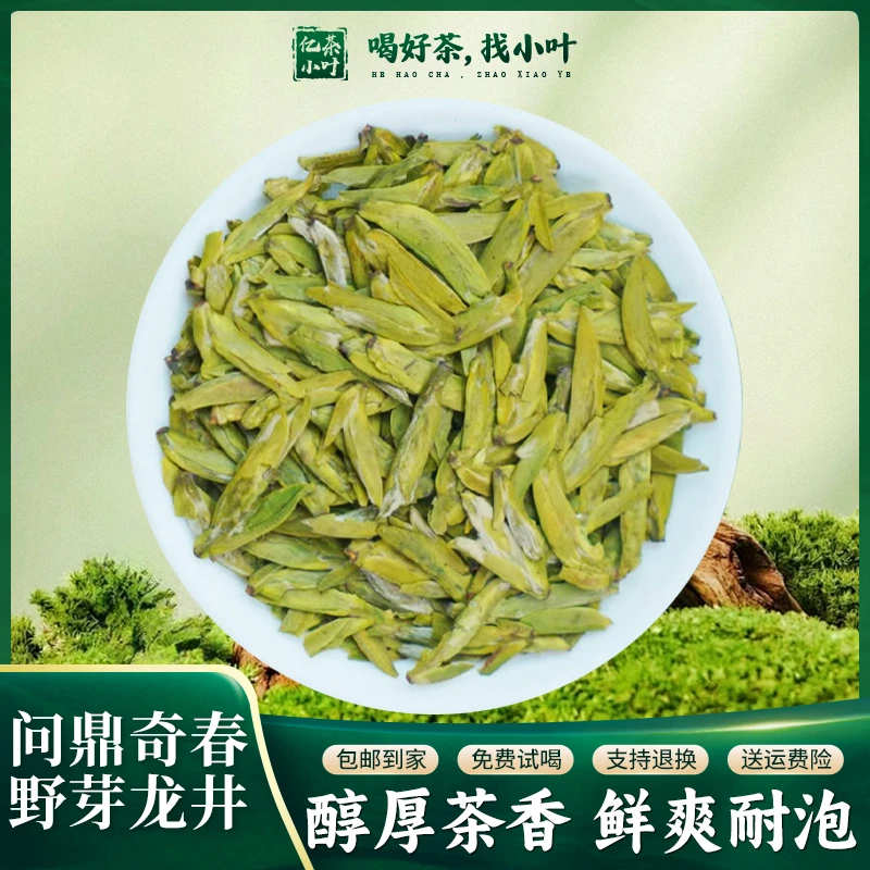 2025年新茶头春头采问鼎奇春野芽龙井黄版