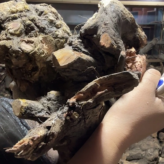 香榧木石**说火琉璃的故事是毛料