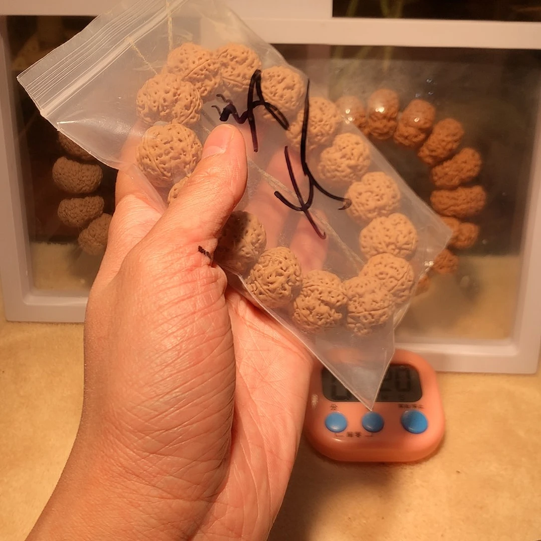 金刚菩提手串阿**?38。