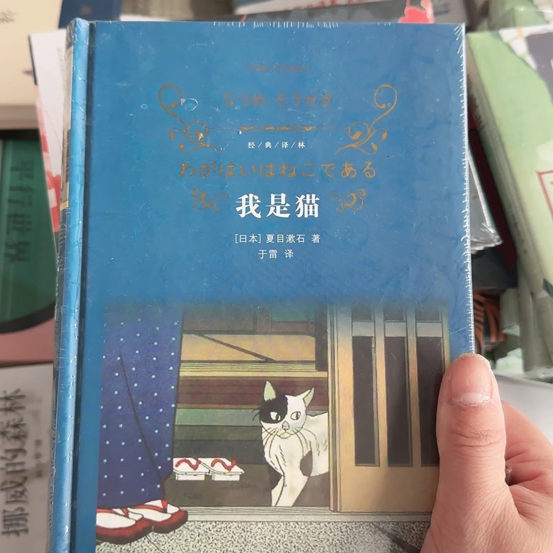 我是猫闪购闪购闪购8